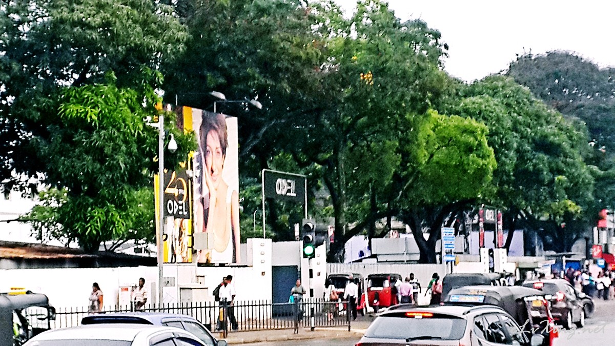 斯里兰卡购物攻略-科伦坡必逛商场ODEL-E旅