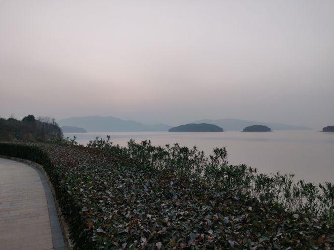 IMG_20201228_170915.jpg